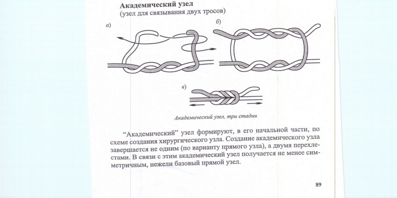 Морской узел кошачья лапка фото и описание